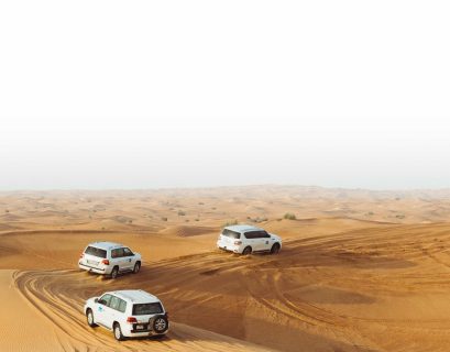 Dubai Desert Safari