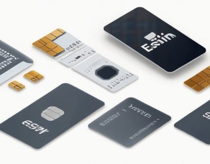 eSIM service provider