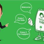 IVR Numbers Work for Businesses