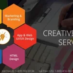 Top Creative Graphic Design Services for Your Business Needs