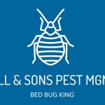 bed bug inspection nyc