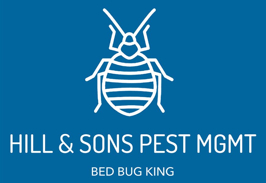 bed bug inspection nyc