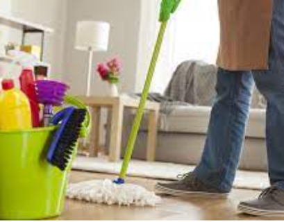 cleaning services maastricht