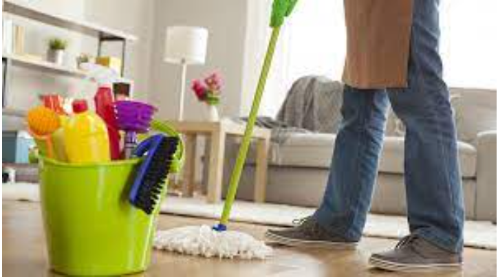 cleaning services maastricht