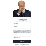 Unlock the Door to Financial Opportunities with Bidencash