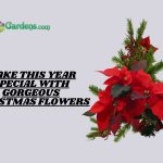 Christmas flowers