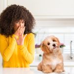 How To Remove Pet Odors