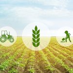 Government Policies for Agriculture in India