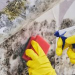 Unveiling Harmful Substances Created By Mold In Your Home