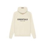 Essentials hoodie