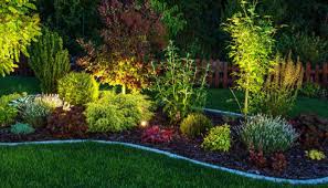 landscaping ideas