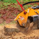 Tree Stump Removal