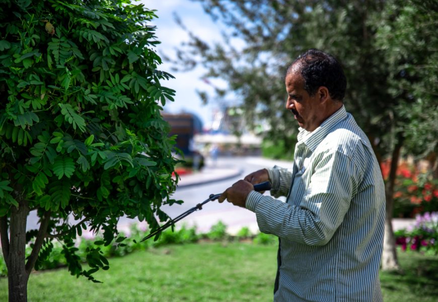 Affordable Professional Commercial Landscaping Services